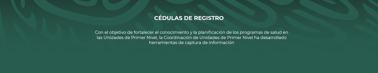 Descripción de la imagen 3